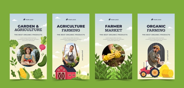 Vector flat agriculture company instagram stories collection