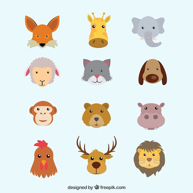 Flat Animals Head Collection