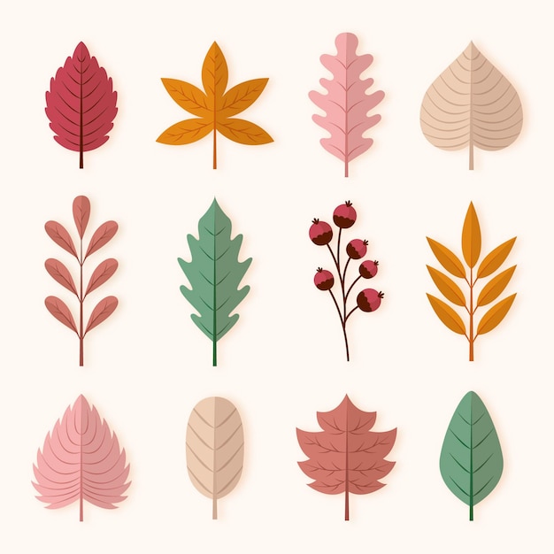 Flat autumn leaves collection