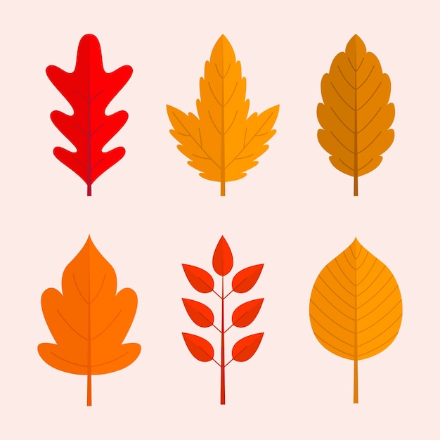 Flat autumn leaves collection