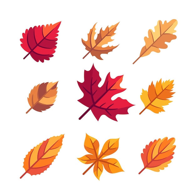 Flat autumn leaves collection