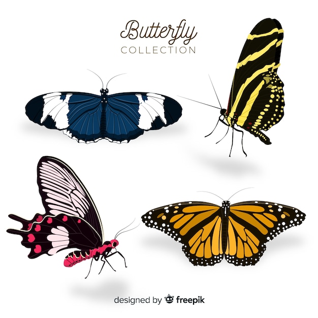 Flat butterfly collection