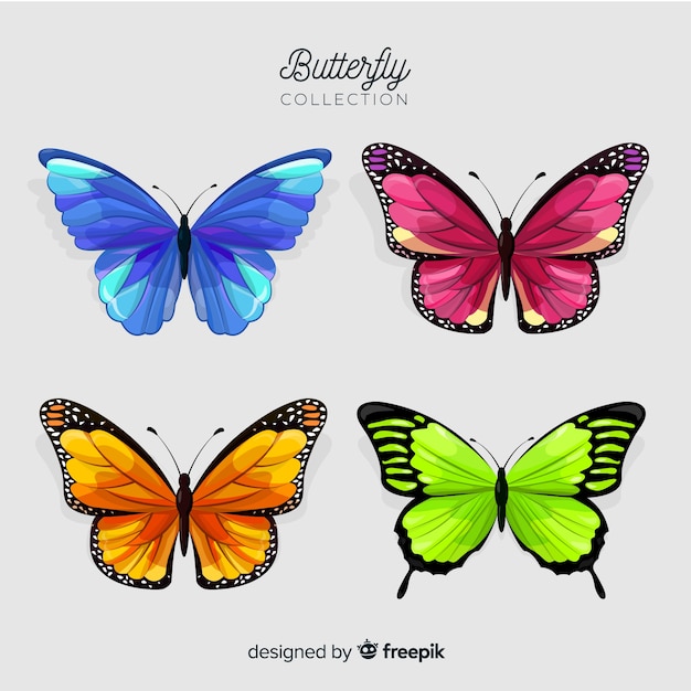 Flat butterfly collection