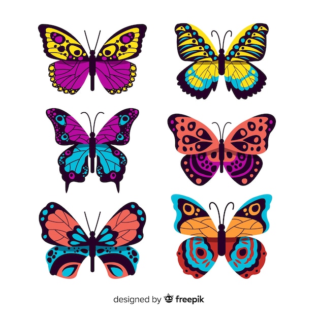 Flat butterfly collection