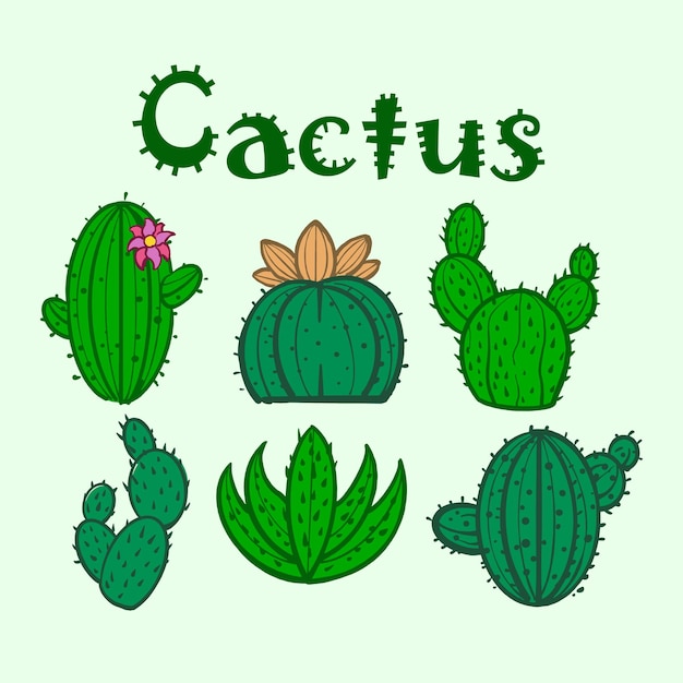 flat cactus plant bundle