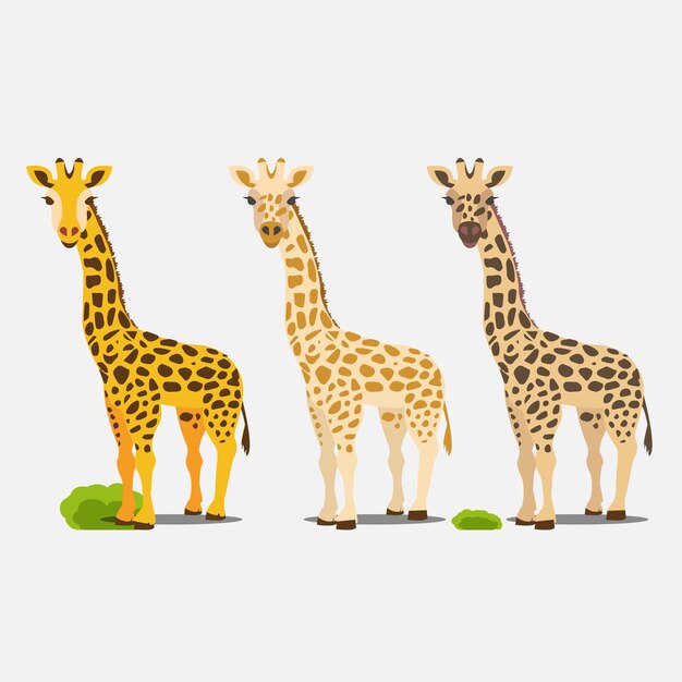 Flat cartoon style cute giraffe vector set