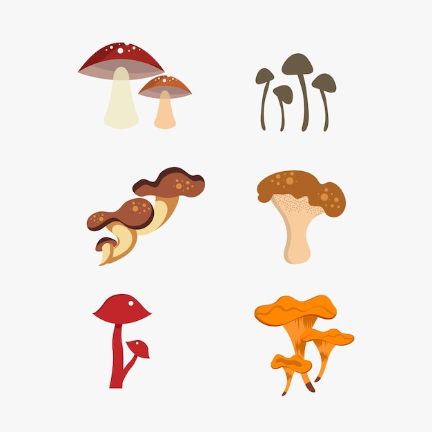 Flat cartoon style mushroom vector