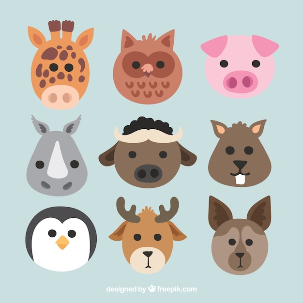 Flat collection of cute animal faces