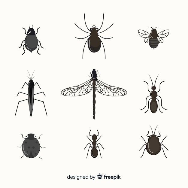 Flat colorless insect pack