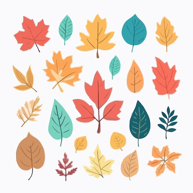 flat design autumn leaves collection set