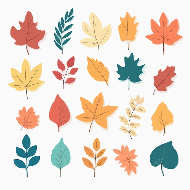 flat design autumn leaves collection set