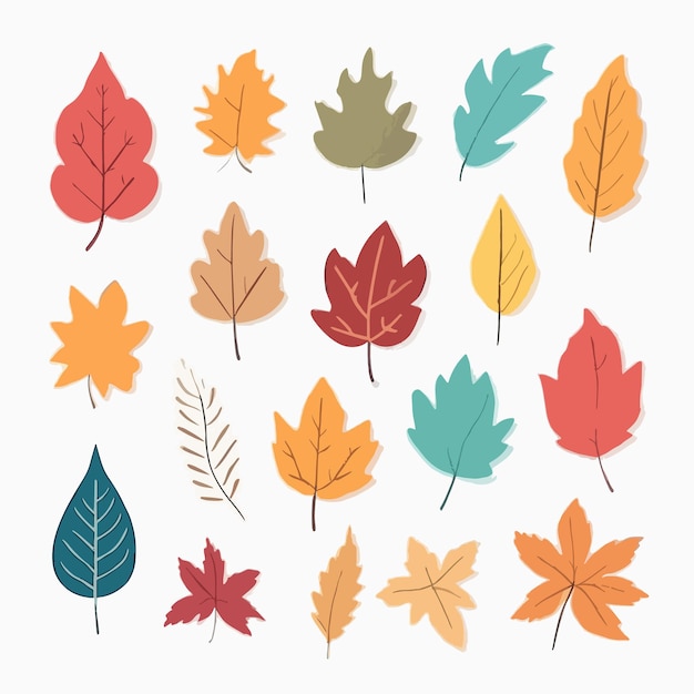 Vector flat design autumn leaves collection set