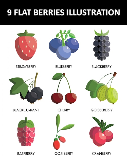 Flat design berries icon set 