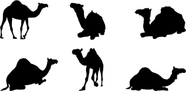 Flat design Camel silhouettes