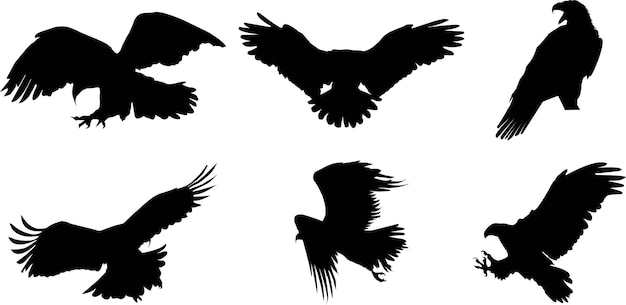 Flat design Eagle silhouettes