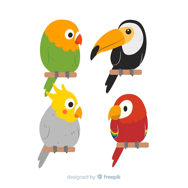 Flat design exotic birds collection