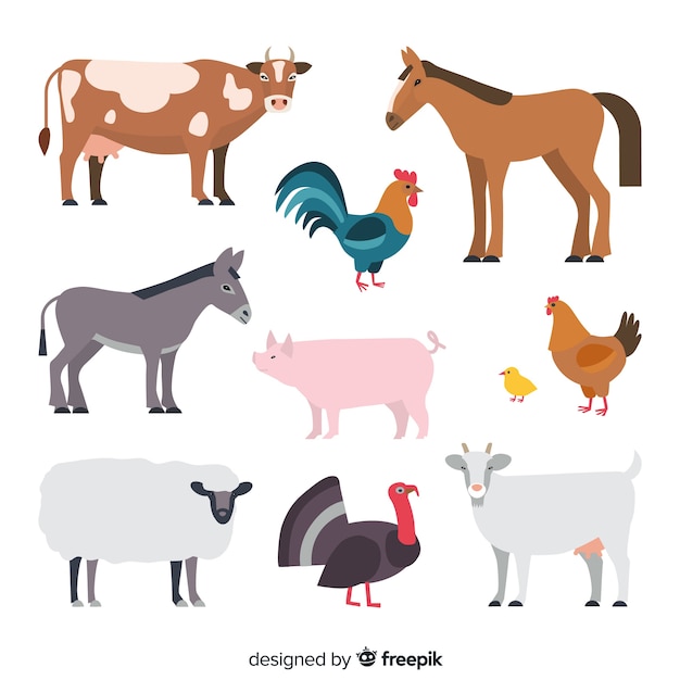 Flat design farm animal collection