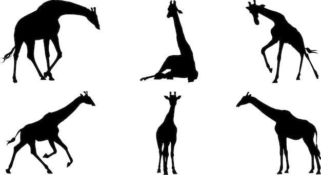 Flat design jiraffe silhouettes