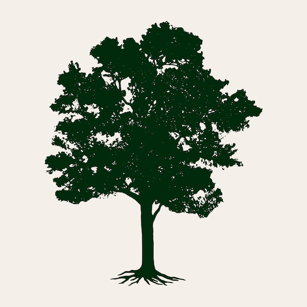 Flat design  oak tree silhouette