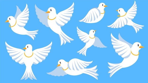 flat dove cartoon vector illlustration set