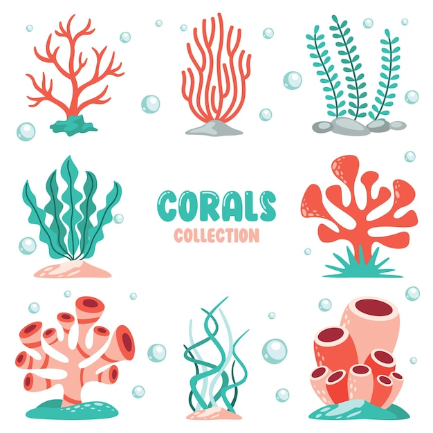 Flat Drawing Of Colorful Corals