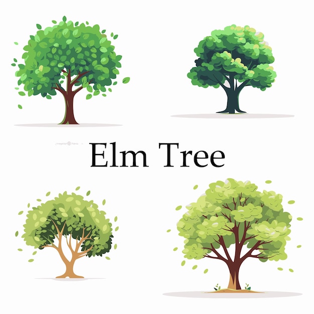 Flat elm tree vector illustration set