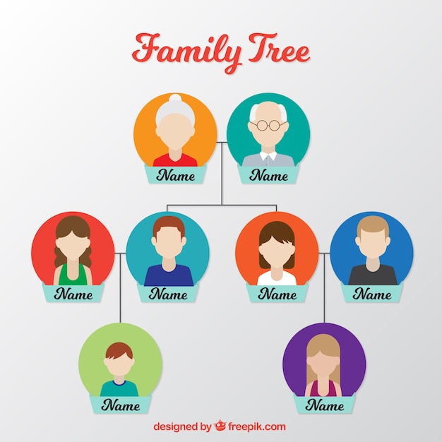 Flat family tree with colored circles in flat design