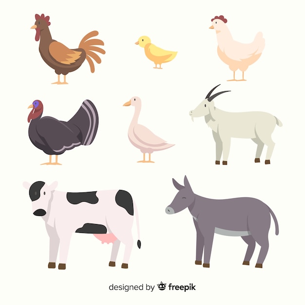 Flat farm animal collection