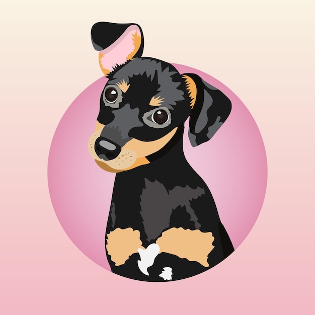 Flat German Pinscher dog vector