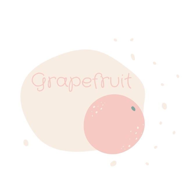 Flat grapefruit hand drawn vector illustration Ripe fruit juicy organic food abstract drawing