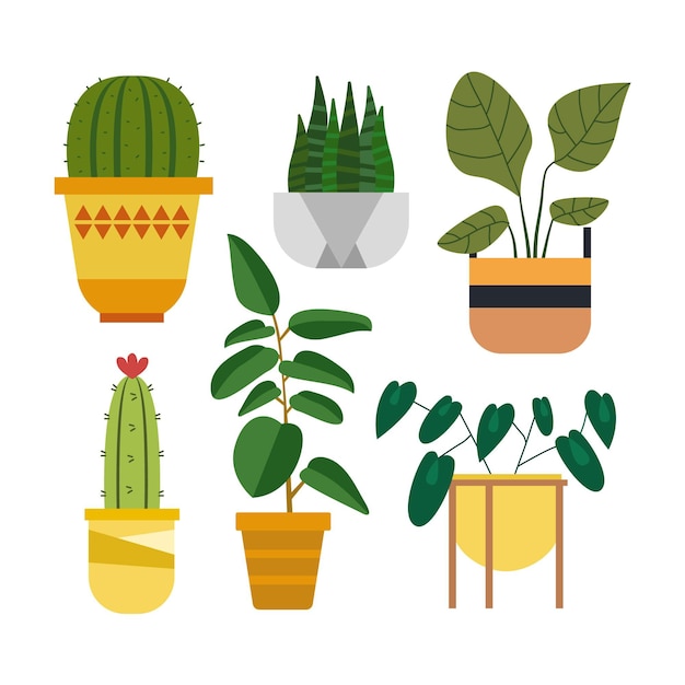 Flat houseplant collection