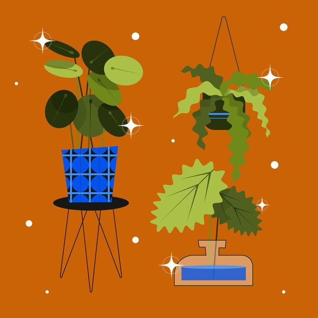 Vector flat houseplant collection