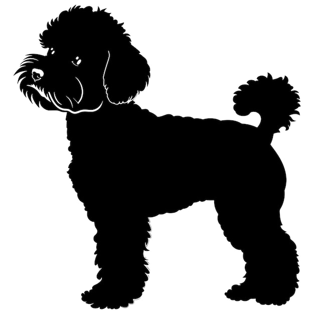 Flat illustration of bichon frise dog silhouette