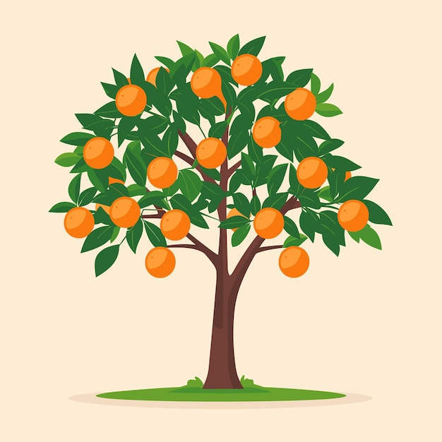 Flat illustration of a green summer orange tree with bright fruits on a orange background