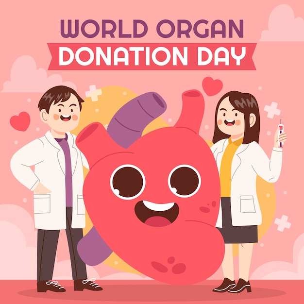 Flat illustration for world organ donation day