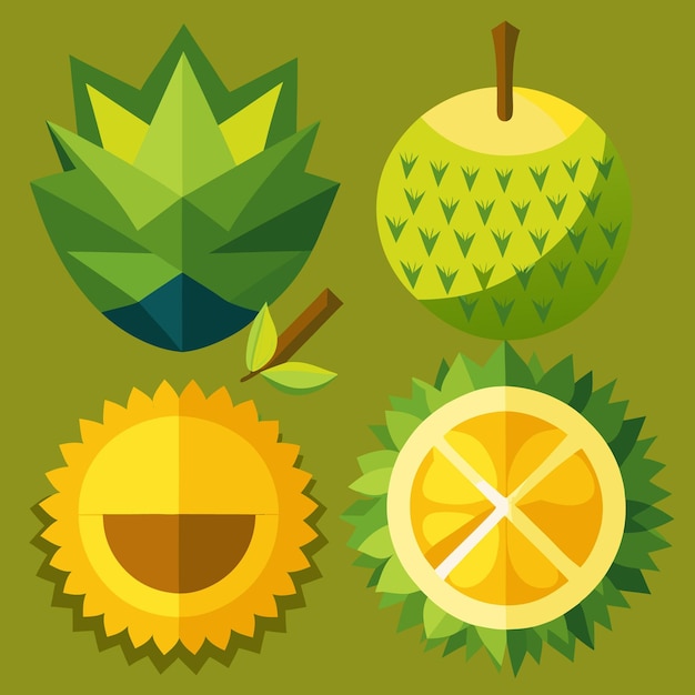 Vector flat lay of tropical fruits on green background