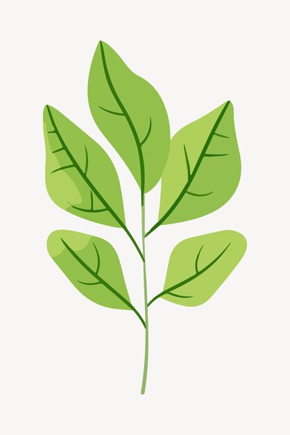 Vector flat leaf plant illustration vector