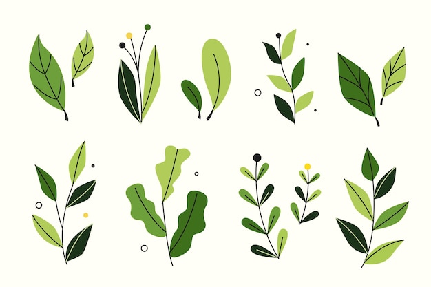 Flat style green leaves collection