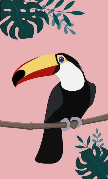 Flat Toucan colorful wildlife vector