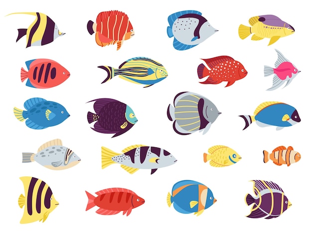 Flat tropical fish Anemone fish aquarium sea pet Cartoon isolated underwater wild characters Goldfish and exotic ocean creatures decent vector set of colored sea fish illustration isolated