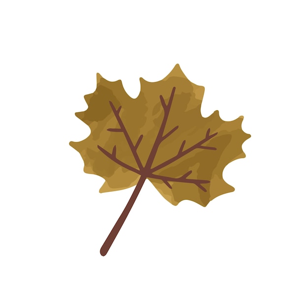 Flat vector cartoon illustration of autumn withered brown leaf. Fall dried canadian maple icon isolated on white background.