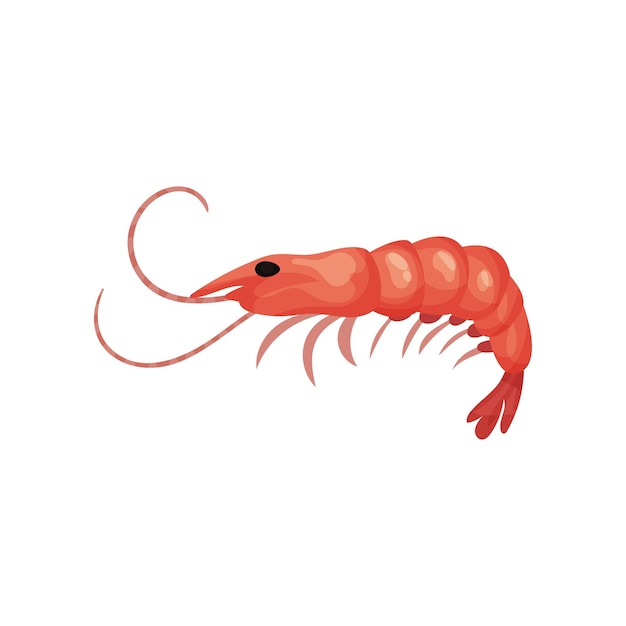 Flat vector icon of big fresh shrimp Prawn with red shell Seafood theme Element for product packaging or promo poster