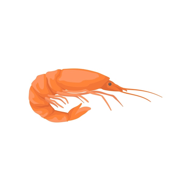 Flat vector icon of bright red shrimp with long claws Marine product Element for product packaging