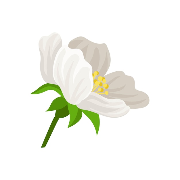 Flat vector icon of cute flower with white petals Beautiful blooming plant Natural decorative element