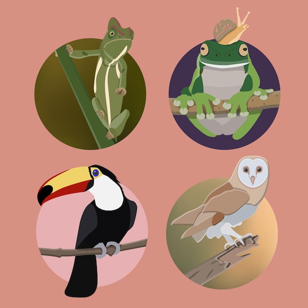 Flat wild life bird vector set