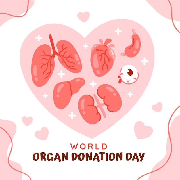 Flat world organ donation day illustration with organs