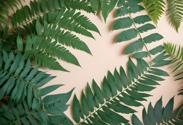 Vector a flatlay image of green fern leaves arranged in a circle on a light brown background creating a simple and natural design