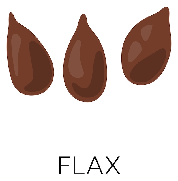 Flax seeds icon Raw farm plant grain