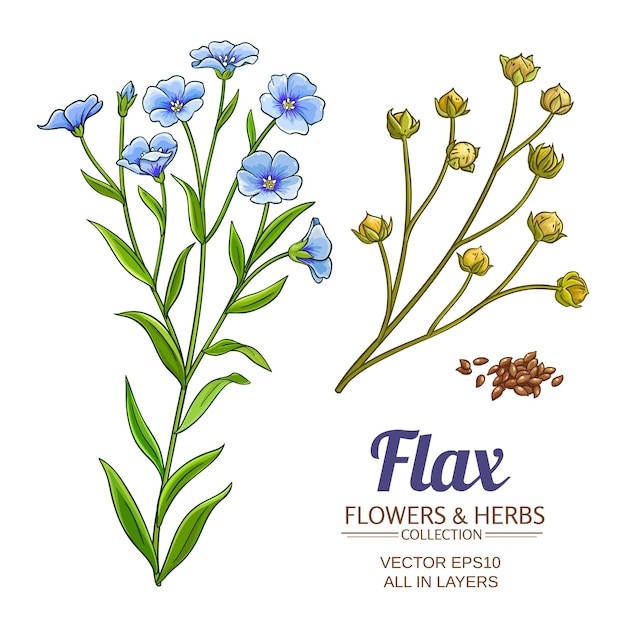 Flax vector set