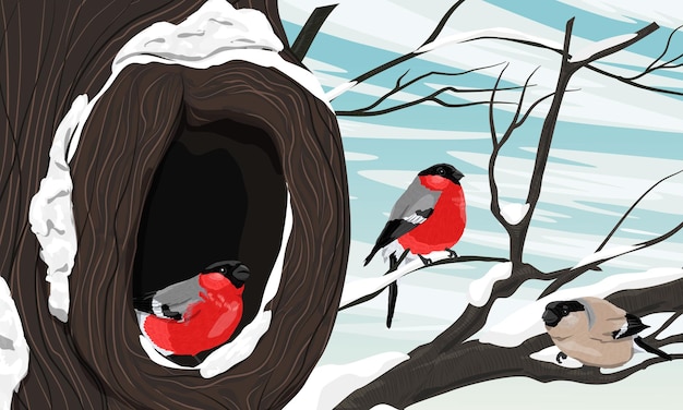 A flock of bullfinches on a tree with a large hollow Realistic vector winter landscape